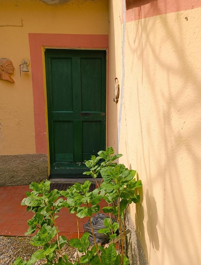 Norina'S House Villa Monterosso al Mare Kültér fotó